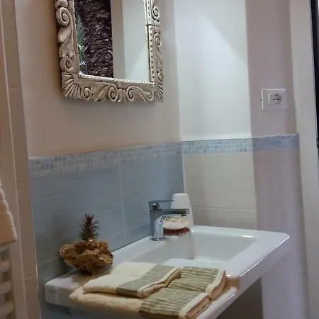 Tory 4* シローロ