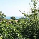 Tory 시롤로