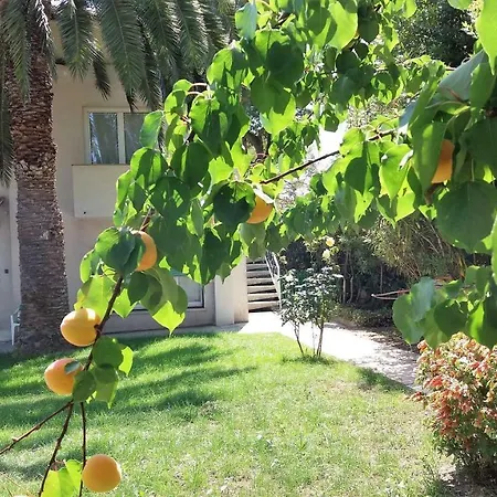 Tory Casa de hóspedes Sirolo